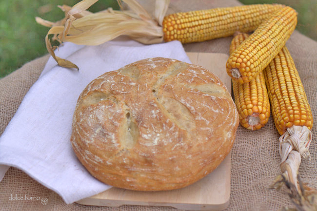 pane di polenta