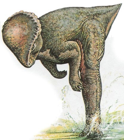 What happens when a non-accredited paleontology fan blogs: Canada Day ...