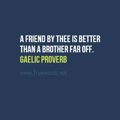 A friend by thee is better than a brother far off.