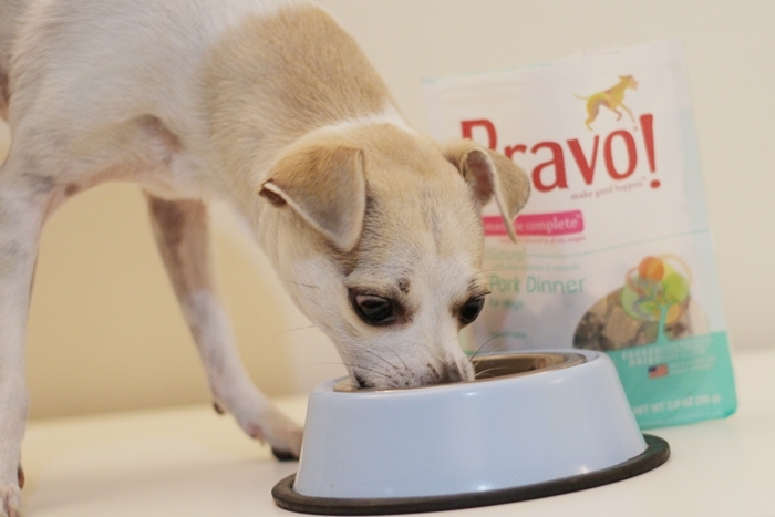 Bravo Raw Dog Food Homestyle Complete Dinners Review