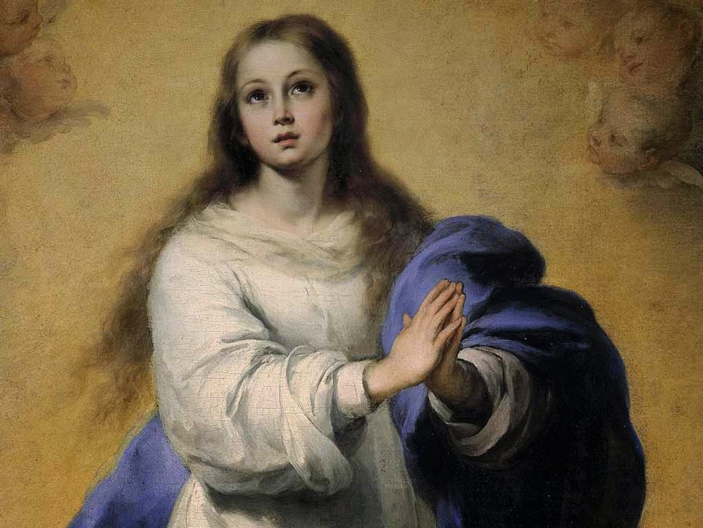 ____NOVENA A LA INMACULADA