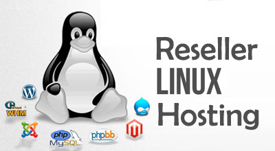 Linux Reseller Web Hosting