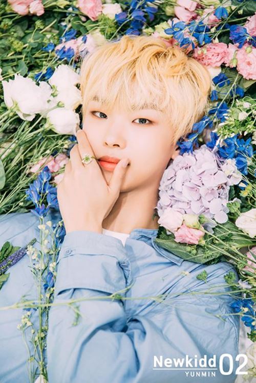 Profil, Biodata, Fakta NewKidd - Omah Kpop