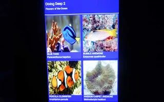 jakarta aquarium neo soho
