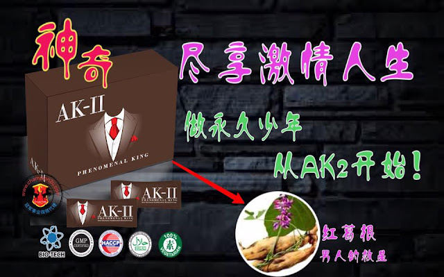 Image result for AK II