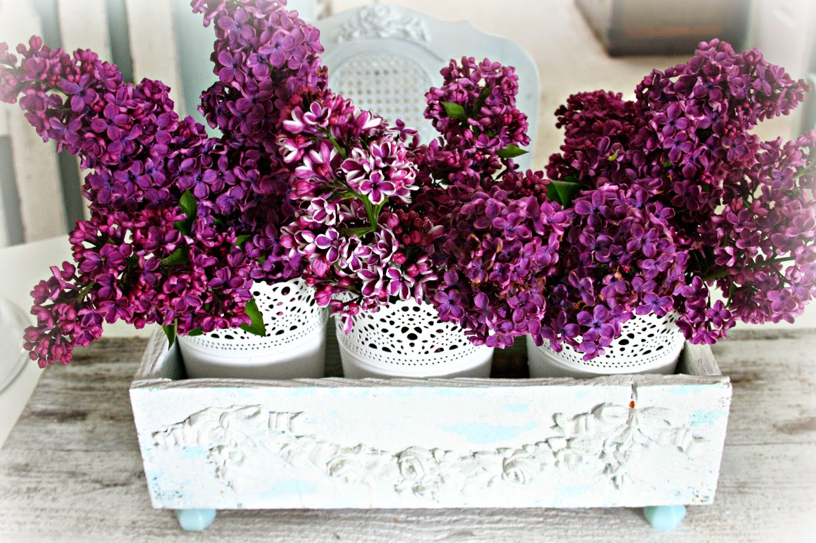 For the love of white: Picking Lilacs and Hanging Vintage Saucers