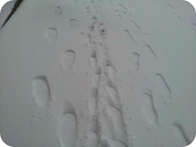 family footprints, footprints in the snow