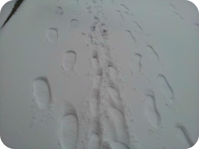 family footprints, footprints in the snow