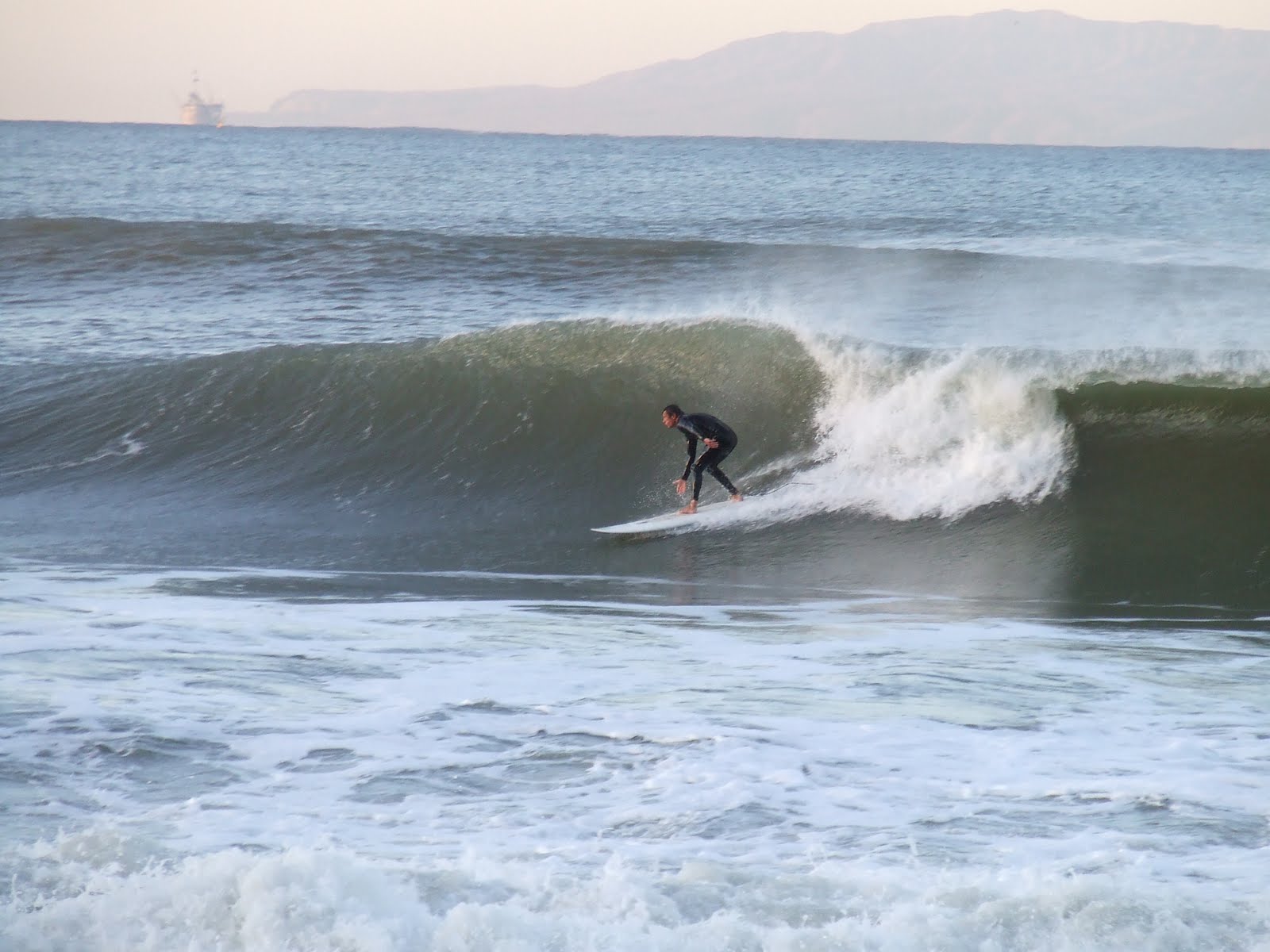 Travels with Rico and Nugget January 2012