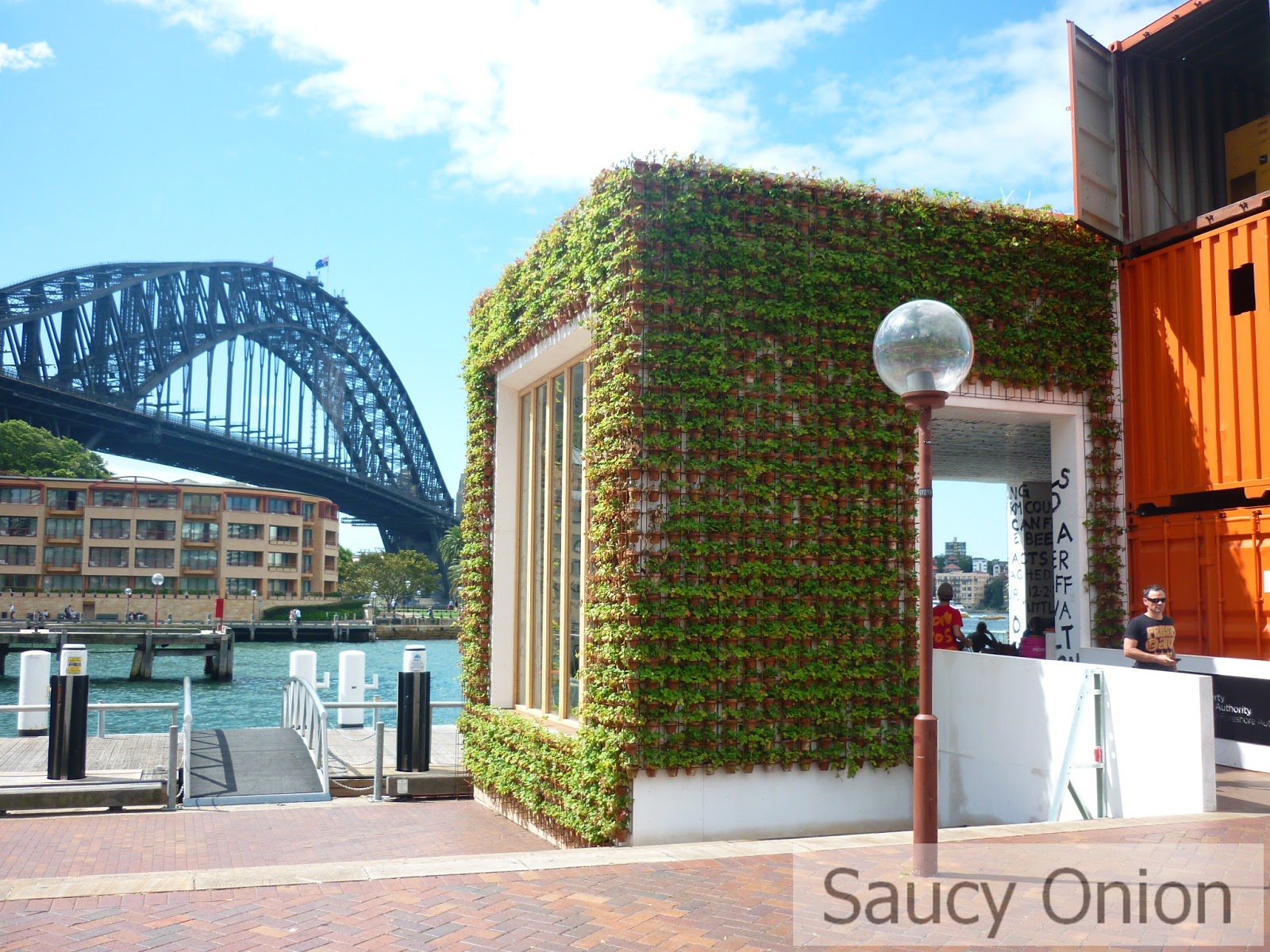 Saucy Onion Greenhouse by Joost Sydney's Hippest Hang