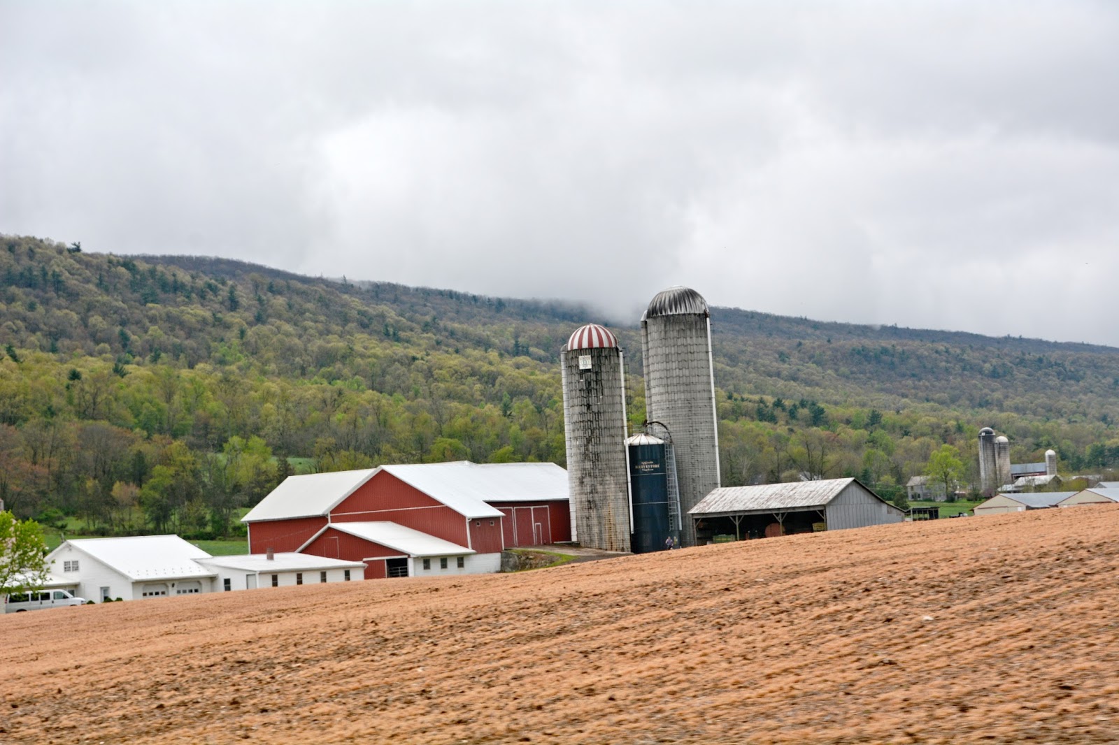 My World in Pennsylvania and Beyond Belleville Farmers Market