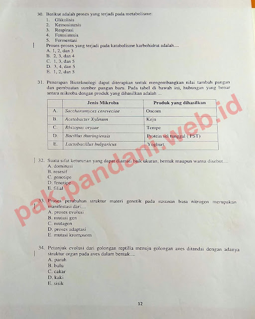 Download Soal Try Out UN Biologi SMA Tahun Pelajaran 2017