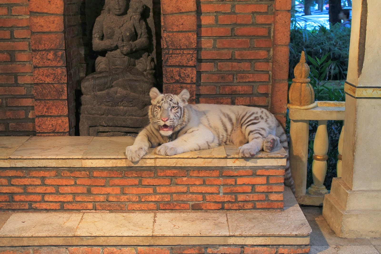 Tamasya Ke Taman Safari