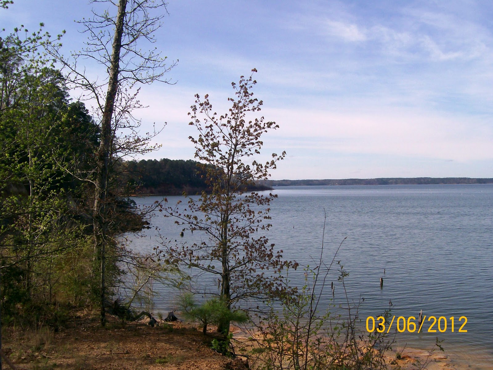 Rockhounding Around Toledo Bend Reservoir, LA/TX