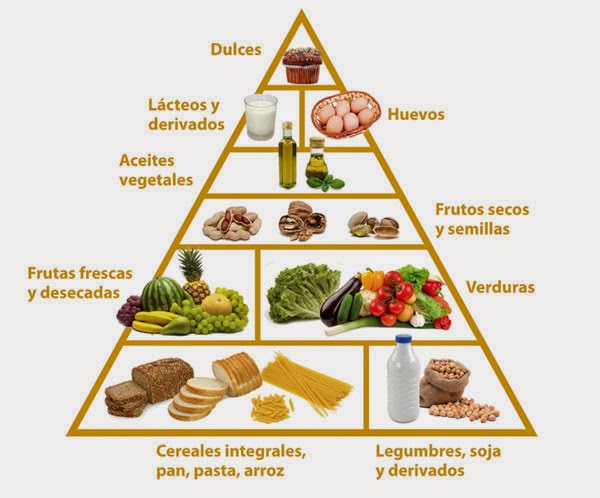 Ayuda con metabolismo de las proteínas