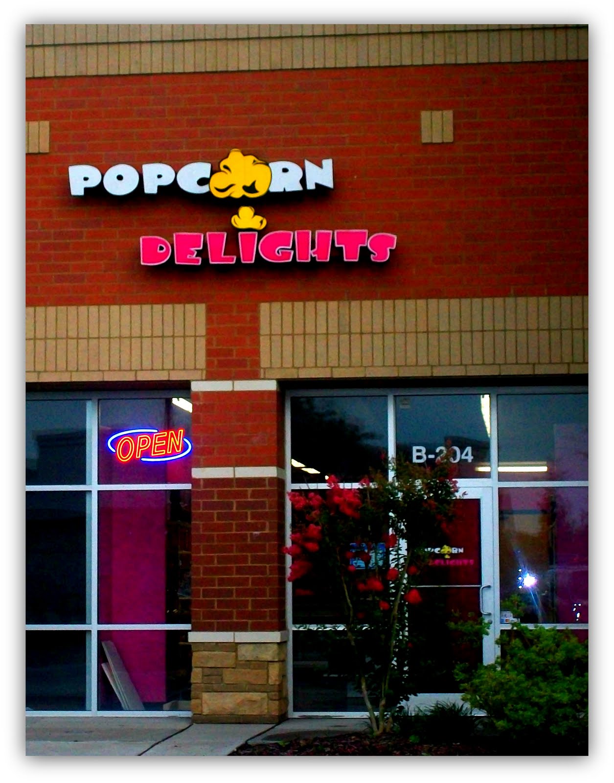Life in Hendersonville, Tennessee Popcorn Delights Store Review