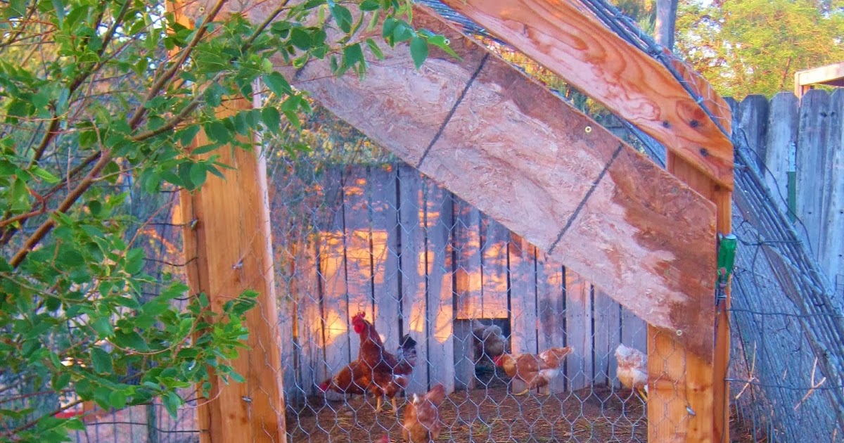 Cricket Song Farm Cattle Panels make a sturdy Chicken Run/ Hoop Coop