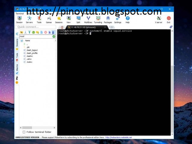 How to start and install Services on VPS