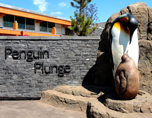 Exploring the Calgary Zoo | Editing Luke