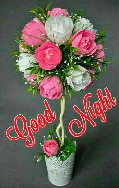 good night cute images