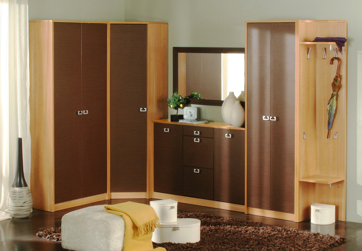 House Wardrobe Designs House Wardrobe Designs D House Design Of