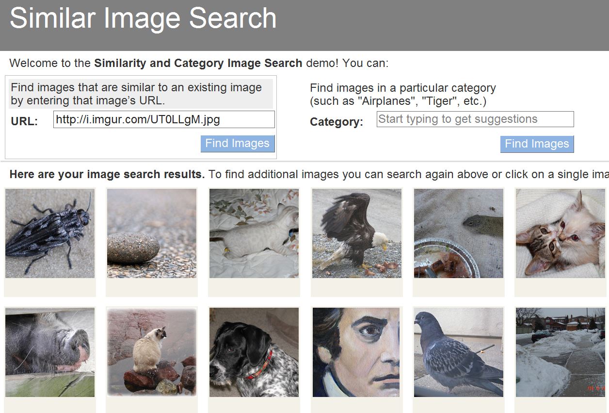 Centerpointe Communicator How to search for similar images on the