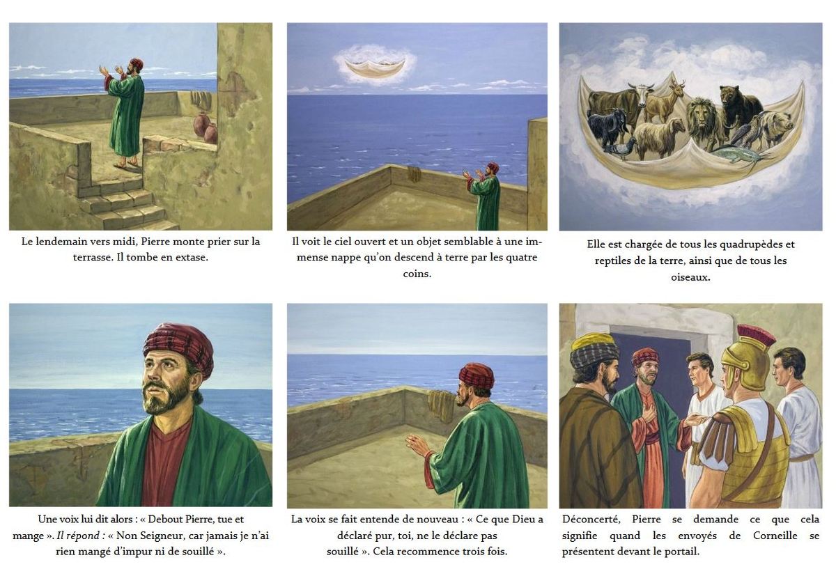 22 Bd Des Rameaux Aux Actes Des Apotres Kt42 Portail Cate