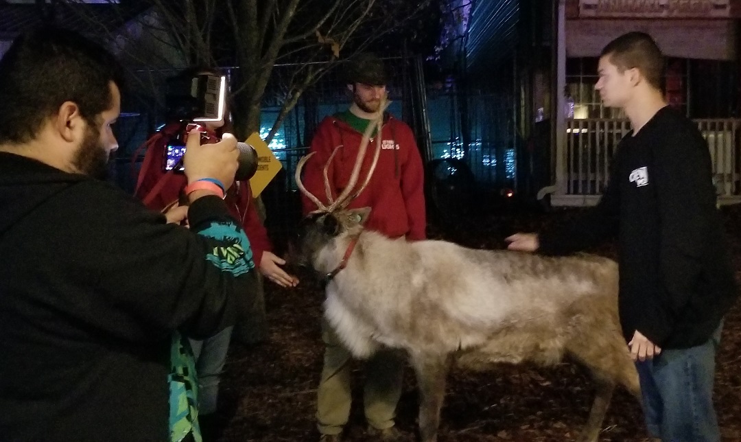 The Arkansas CW Crew The Crew Visits the Promised Land Zoo for their