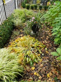 Cabbagetown Toronto front garden makeover before by Paul Jung Gardening Services