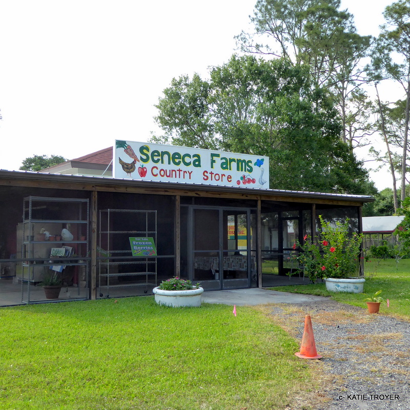 Project 365 311 Seneca Farms