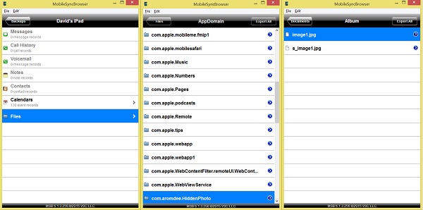 Exploring the backup archive with MobileSyncBrowser