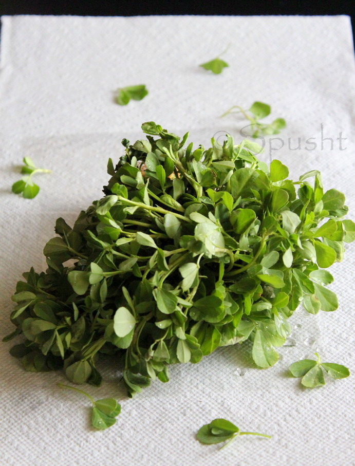 Spusht Fenugreek Leaves Boon or Bane?