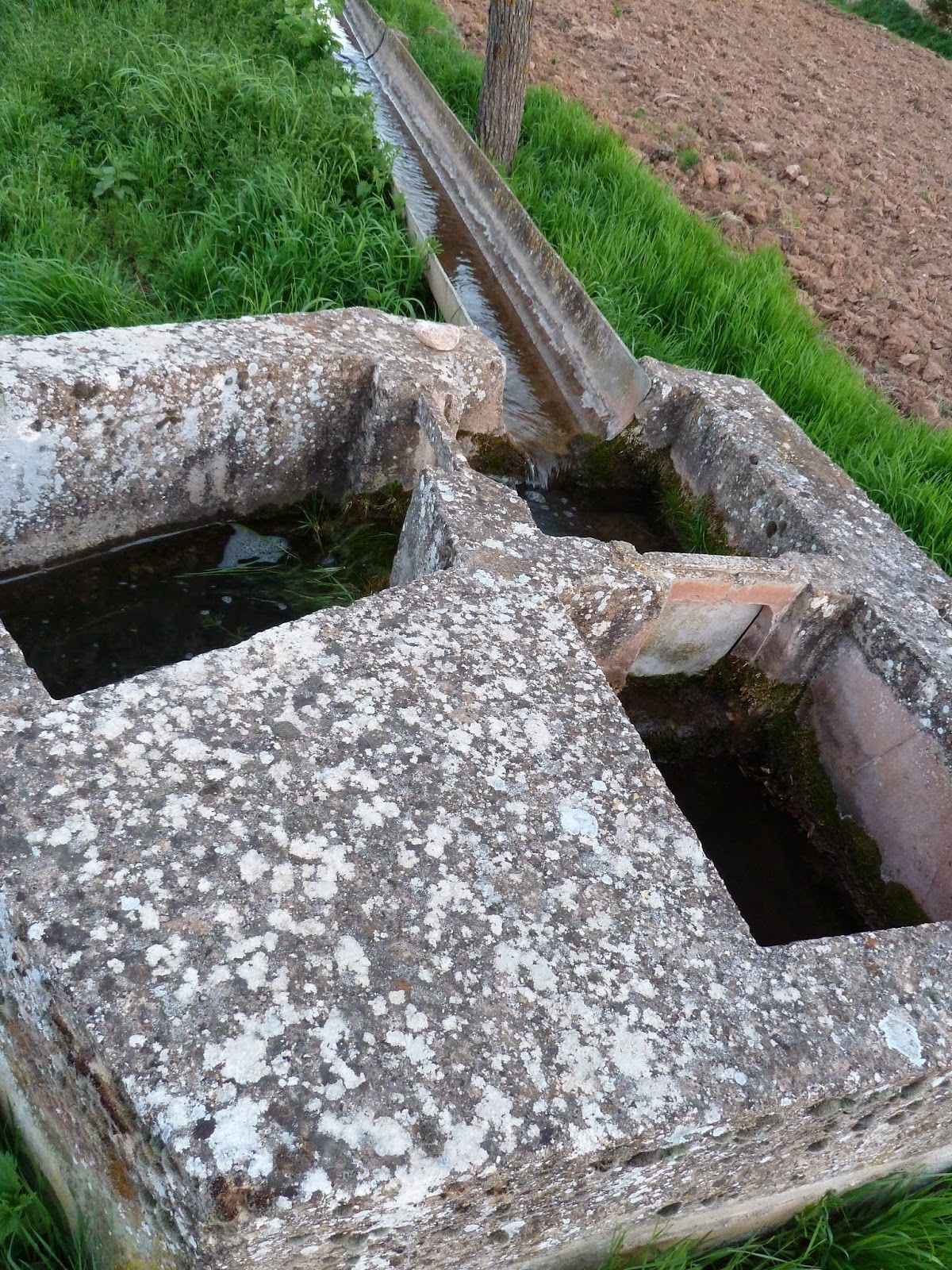La Loc@: A. Cuenca. Campichuelo. Ribatajada. Sus huertos, 11 a 15/4/2014