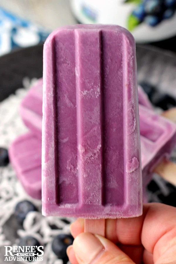 Blueberry Coconut Frozen Yogurt Bars | Renee's Kitchen Adventures