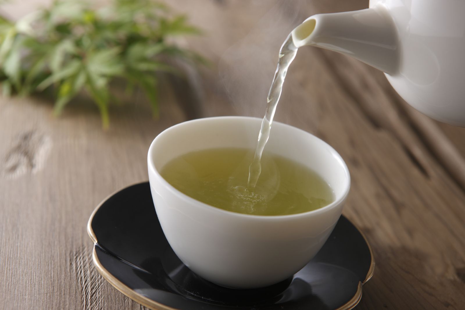 beneficios del té verde para la disfunción eréctil
