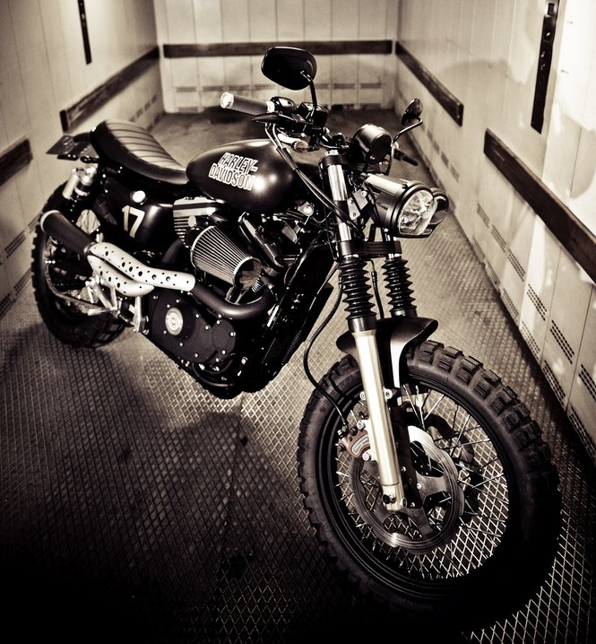 harley street rod scrambler