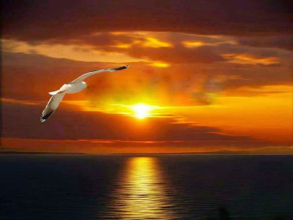 Καλοκαιρινές φωτογραφίες με τοπία, πολλές φωτογραφίες με Καλοκαιρινά θέματα, ΚΑΛΟΚΑΙΡΙ, Όμορφα Καλοκαιρινά τοπία, Παραλίες γεμάτο κόσμο, Πάμε θάλασσα,