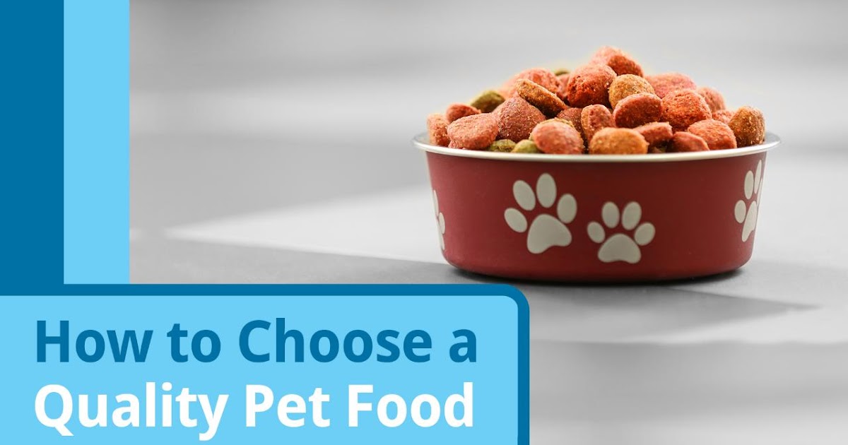 Important questions to Ask when choosing dog food for your dog Doglopedix