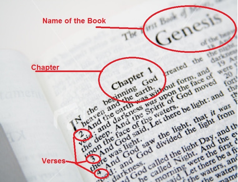 Daily Dose of Heaven Beginner's Guide to the Bible