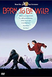 Born to Be Wild Poster