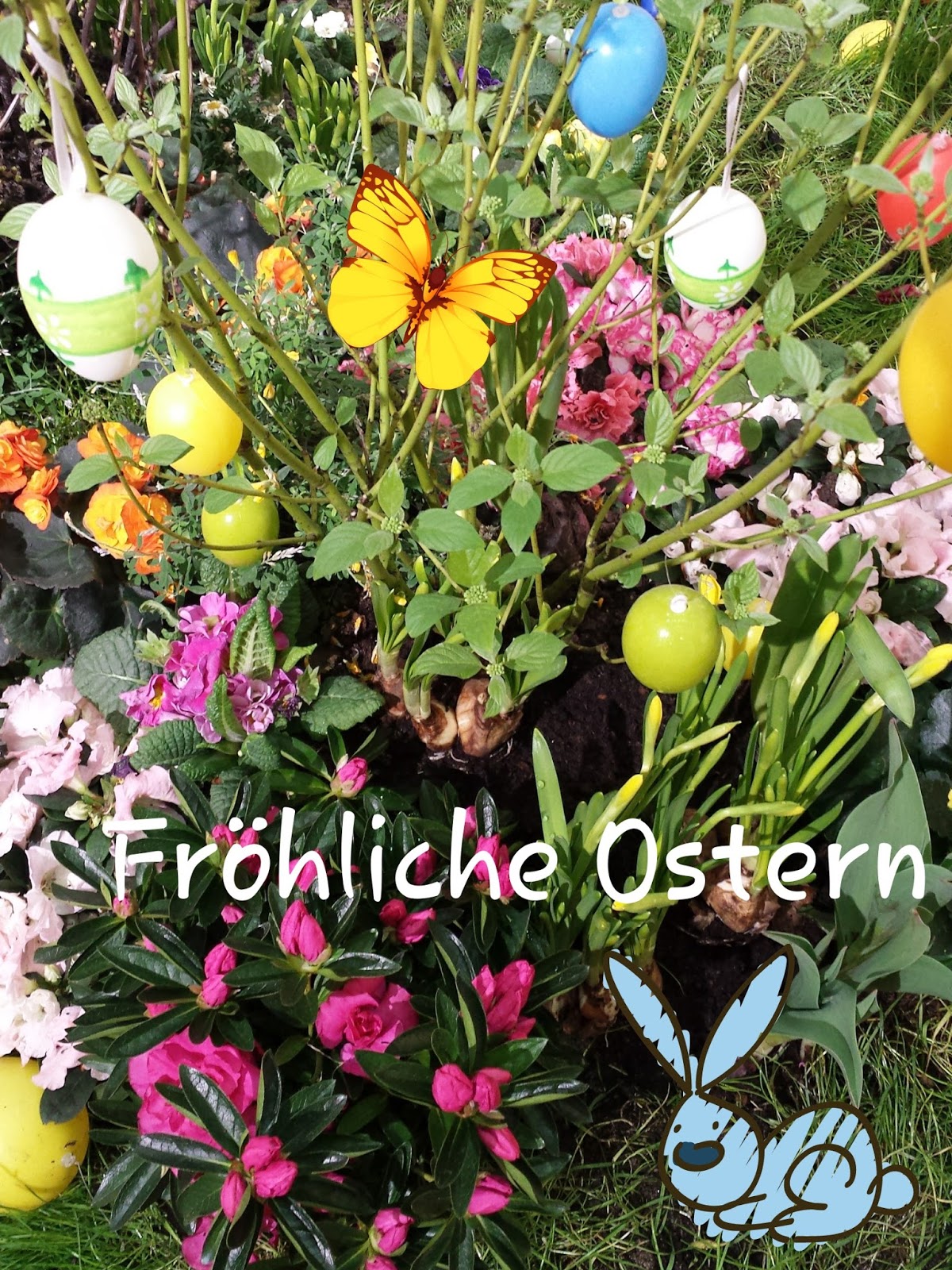 Burgdorfer Kreisblatt