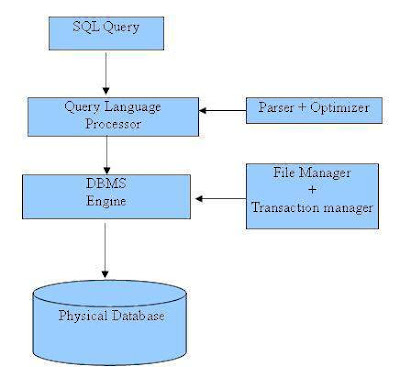 Easy Notes: What is SQL? Why we use SQL? SQL Process?