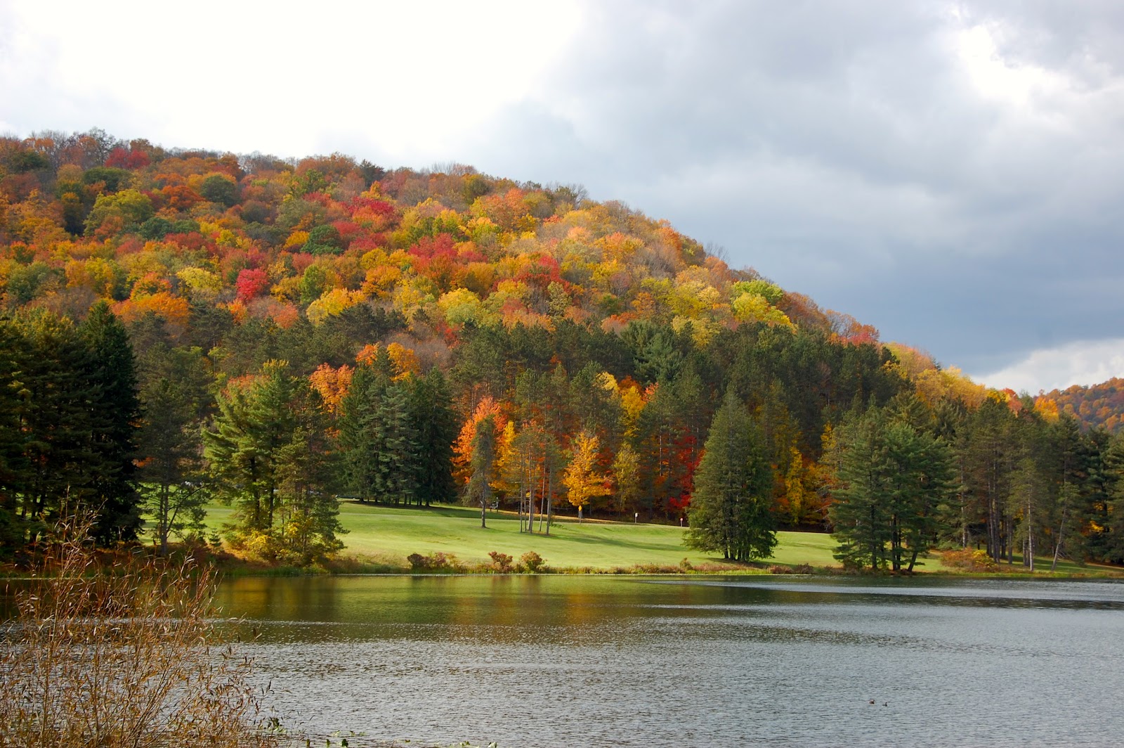 More Mom Time Beautiful hike yesterday at Allegany State Park NY
