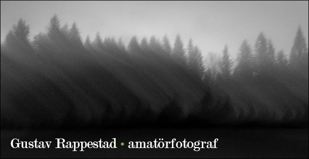 Gustav Rappestad • amatörfotograf