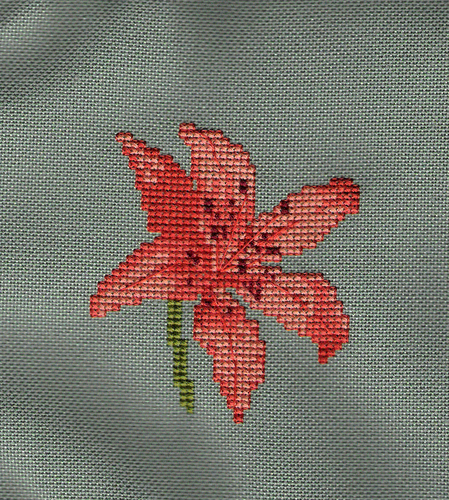 A Transparent Network Tiger Lily and Cocktail