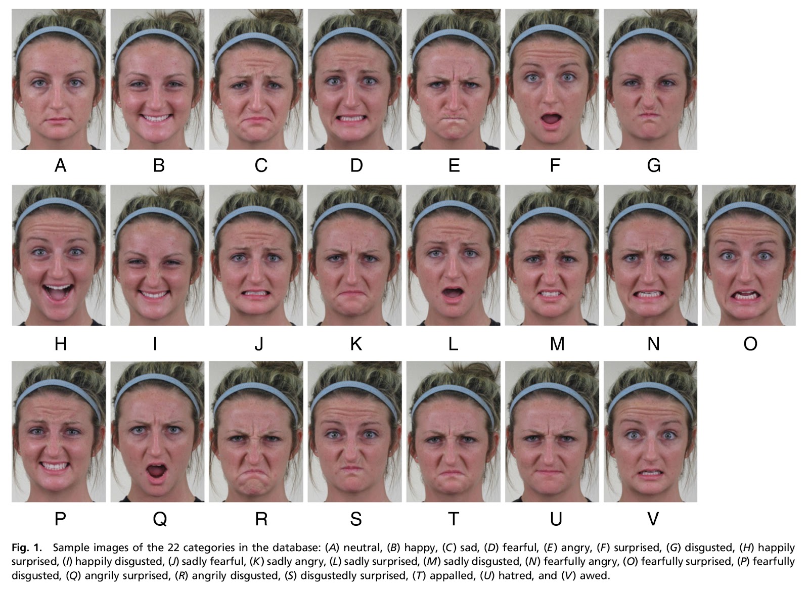 Masker onderzoek Sjoerd Schwibettus: 3. 'compound facial expressions of ...