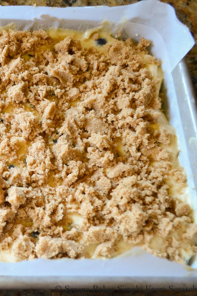 Blueberry Cinnamon Crumb Coffee Cake press crumb topping between fingers from Serena Bakes Simply From Scratch.