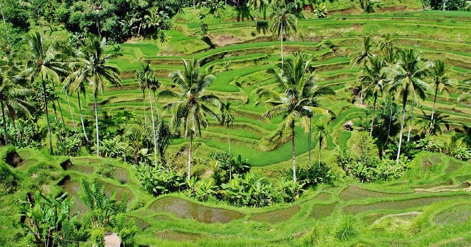 Rute Wisata yang Disediakan EBikes Bali