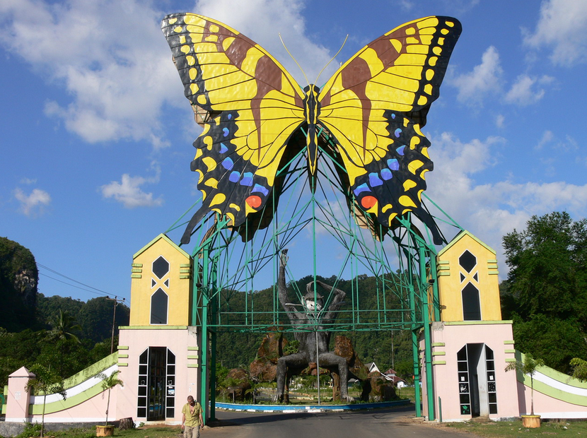 Rimba Adventure: Wisata alam bantimurung bulusaraung