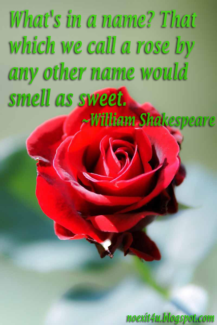 Happy Rose Day With Quotes 2016 Happy Rose Day With Quotes 2016